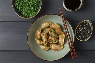 Japanese fried gyoza dumplings, with pork, sesame seeds, green onions