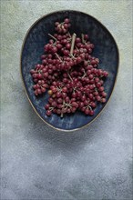 Shtoshi berry, Shepherd's pie, a hybrid of sea buckthorn and barberry, top view, no people