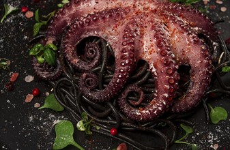 Octopus with black spaghetti, pasta, spices and herbs, top view, no people