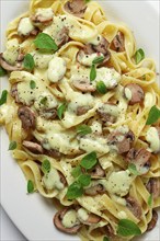 Fettuccine with champignons, basil, in cream sauce, homemade, no people