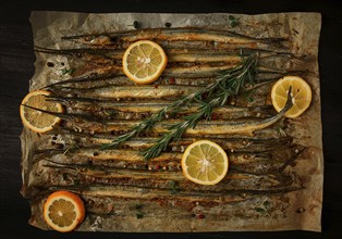 Fried fish, sargan, black sea pike, top view, close-up, no people