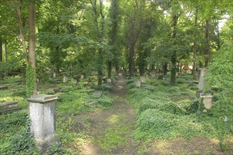 The Elias Cemetery in Dresden is considered to be the city's most culturally and historically