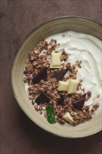 Yogurt with chocolate muesli, breakfast, close-up, fork on top, no people