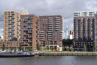 New residential tower blocks in the Katendrecht neighbourhood, Feijenoord district in Rotterdam, on