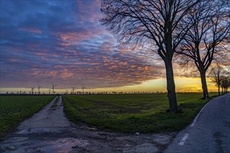 Wind farm near Holzweiler, town of Erkelenz, wind power plants, North Rhine-Westphalia, Germany,