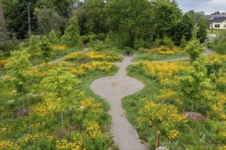 Detroit, Michigan, Residents formed a nonprofit organization called 'Arboretum Detroit' to preserve