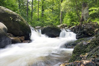 Waterfalls in Ilsetal, Ilsenburg, 22/08/2014, Ilsenburg, Germany, Europe