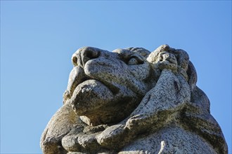 Resting lion made of granite on the terrace base of the equestrian statue of Emperor Wilhelm I on