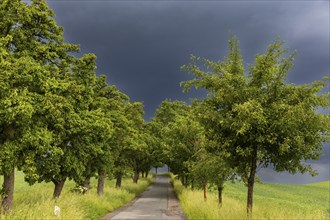 Heavy rain showers and thunderstorms over Possendorf in the Eastern Ore Mountains, Possendorf,