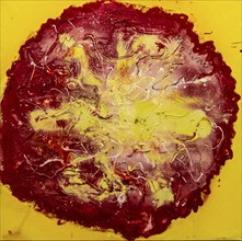 Maerztomate, 2013, mixed media on canvas, exhibition Miquel Barcelo, Vida y Muerte, Museum