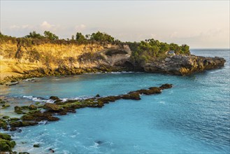 Beach in the Blue Lagoon bay on the holiday island of Nusa Lembongan, blue, algae formation,