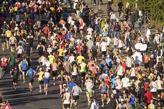 Runners at the 50th BMW Berlin Marathon 2024 on 29/09/2024