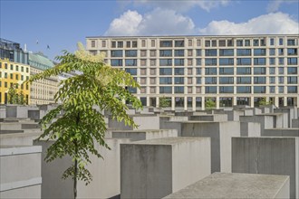 Holocaust Memorial, Field of Stelae, Mitte, Berlin, Germany, Europe