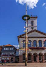 Half-timbered houses and the town hall tower in the old town centre, Seligenstadt, Hesse, Germany,