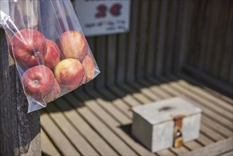 Bag of apples and blurred cash box in a self-service stall in Wischhafen, district of Stade, Lower