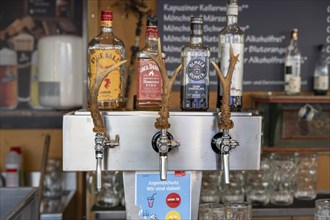 Taps with antlers at the Kulmbach Beer Week in a beer tent, Kulmbach, Upper Franconia, Bavaria,