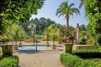 Palm garden in the historic spa gardens, the largest outdoor palm garden north of the Alps, Bad