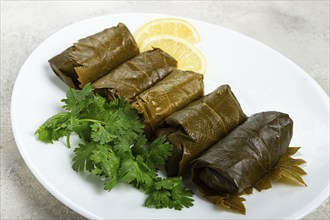 Dolma, minced meat with rice, in grape leaves, rolls with minced meat, on a white plate, top view,