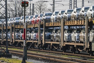 VW plant, Emden, new cars, car transporter, car train, goods train, with VW vehicles, Lower Saxony,