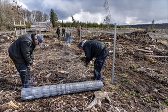 Construction of a game fence around a 5-hectare area in the Arnsberg Forest near