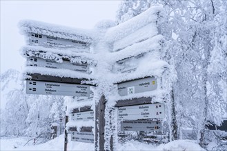 Signposts, hiking signs, winter in the Sauerland, Hochsauerlandkreis, at Kahler Asten, near