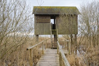 Schnakenburg observation tower on the eastern bank of the Müritz, Müritz National Park, Mecklenburg