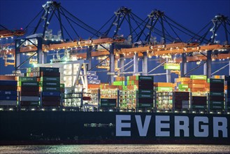 Container ship of the Evergreen shipping company, Ever Grade, being loaded and unloaded, Euromax