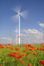 Wind farm, field with flower strips, insect-friendly border of fields with mixed flowers, poppies,