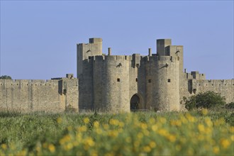 Porte de la Reine, town gate and historic town fortifications with town wall, Aigues-Mortes, Gard,