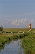 Pilsum Lighthouse, Pilsum, Krummhörn, East Frisia, Lower Saxony, Germany, Europe