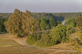 Forest landscape at Lake Wigry in the Wigry National Park in northern Poland. Krusznik, Podlaskie,