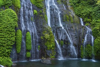 Banyumala twin waterfalls, waterfall, jungle, rainforest, water, nature, botany, holiday, paradise,