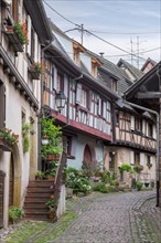 A narrow alleyway lined with traditional houses with plants and red flowers, Eguisheim, Plus beaux