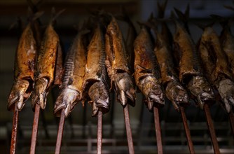 Sales stand, smoked fish, mackerel, smoked, Cannstatter Wasen, folk festival, Bad Cannstatt,