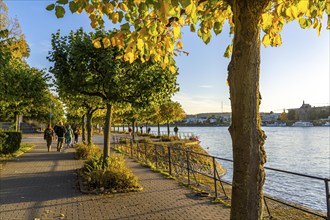 The Rhine near Bonn, the riverside promenade of Bonn-Beuel, North Rhine-Westphalia, Germany, Europe