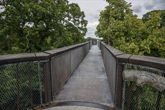 Treetop Walkway, steel structure, Royal Botanic Gardens (Kew Gardens), UNESCO World Heritage Site,