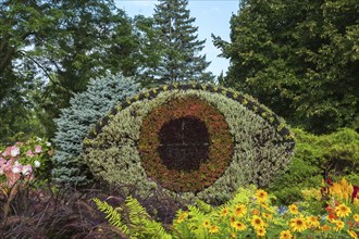 Eye shaped live plants gardening wall bordered by yellow Heliopsis, Ox Eye flowers, Adiantum