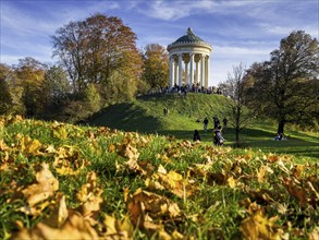 Autumn atmosphere in the English Garden, Monopteros, Munich, Bavaria, Germany, Europe