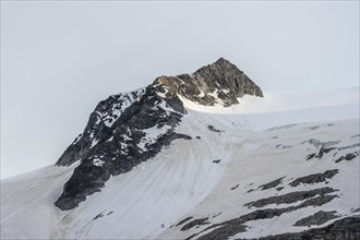 Gipfel Felsköpfel below the Schwarzenstein with Schwarzensteinkees, Zillertal Alps, Tyrol, Austria,