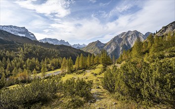 Mountain panorama with steep rocky peaks, yellow-coloured larches in autumn, hike to the summit of