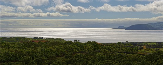 View of a tranquil coastal landscape of Criação Velha with vineyards and prominent clouds over the