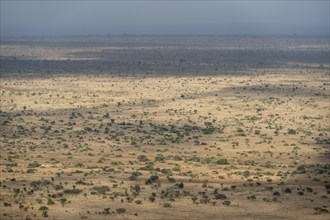 View over savannah landscape, Kruger National Park, South Africa, Africa