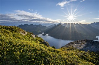 View of Fjord Raftsund and mountains in the evening light, sun star, view from the top of