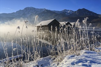 Boat huts in the morning light in front of mountains, lake, snow, winter, fog, Lake Kochel, Alpine