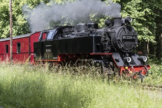 Bäderbahn Molli, Kühlungsborn, Mecklenburg-Vorpommern, Germany, Europe