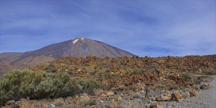 El Teide National Park, behind it the Pico del Teide, 3715m, World Heritage Site, Tenerife, Canary