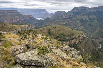 View of the Blyde River gorge, Lowveld Viewpoint, canyon landscape, Blyde River Canyon, Panorama