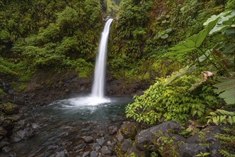 La Paz waterfall, waterfall in dense green vegetation, long exposure, Alajuela province, Costa