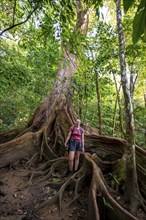 Young woman with camera, tourist standing between the roots of a strangler fig (Ficus americana),