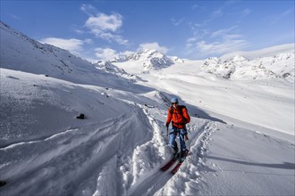 Ski tourers in a snow-covered mountain landscape, mountain peak Monte Cevedale and glacier